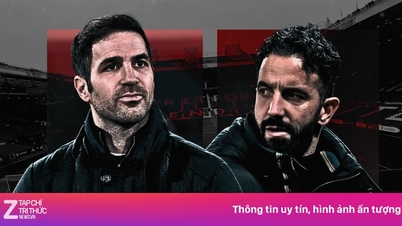 Fabregas exposes MU's mistakes