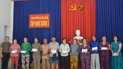 हनोई पर्यटन व्यवसाय ने न्हा ट्रांग में बाढ़ पीड़ितों को 200 मिलियन से अधिक VND की सहायता दी