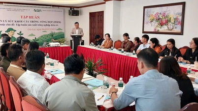 เจียลาย: การฝึกอบรมเกี่ยวกับกระบวนการผลิตเกษตรอินทรีย์สำหรับเกษตรกร