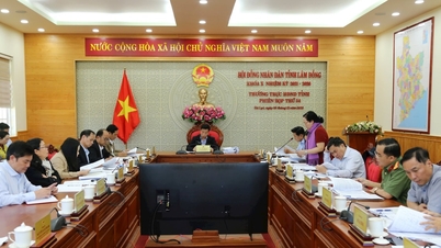 คณะกรรมการถาวรของสภาประชาชนจังหวัดลัมดงได้ให้ความเห็นเกี่ยวกับร่างมติที่สำคัญหลายฉบับ