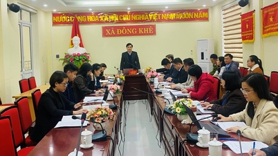 ڈونگ کھے کمیون کی عوام کی کمیٹی میں انتظامی اصلاحات، نظم و ضبط، انتظامی نظم و ضبط اور عوامی خدمت کے کلچر کا معائنہ