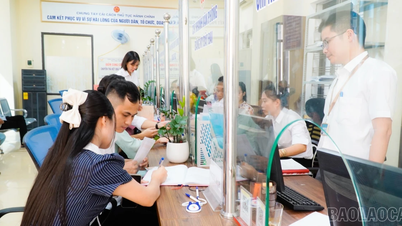 Lao Cai: Otorisasi untuk menangani 15 prosedur administrasi di bidang pertanian dan lingkungan