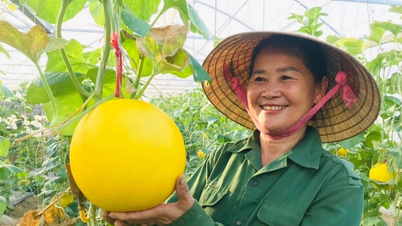 נגה אן מסיימת מוקדם את הישגיה ברבים מהיעדים לצמצום עוני בר-קיימא