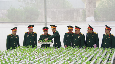 Quân khu 4: Kiểm tra, đánh giá kết quả Hội thi “Đơn vị tăng gia sản xuất giỏi” năm 2025 tại Lữ đoàn 414