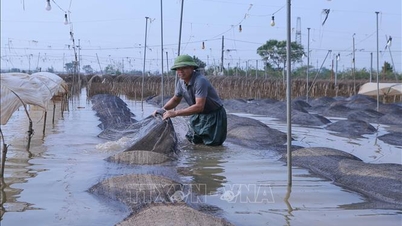 Etter stormen og flommen ble 250 000 lånekunder rammet med en utestående gjeld på rundt 60 000 milliarder VND.