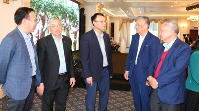 Trang Trinh Nguyen Binh Khiem 문서 시스템 명확화