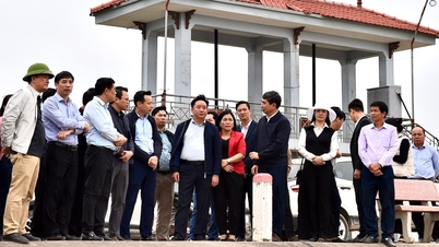 Promowanie efektywności nawadniania, rozszerzanie obszarów hodowli wysokiej jakości krewetek i krabów w Hai Phong