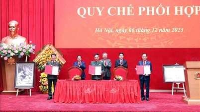 Stärkt samordning mellan offentlig säkerhet - armén - diplomati under den nya perioden