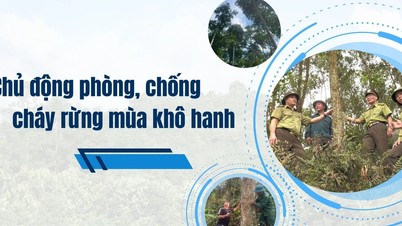 Secara proaktif mencegah dan memadamkan kebakaran hutan di musim kemarau