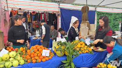 বাখ থং কমিউনে আকর্ষণীয় সাইট্রাস উৎসব এবং স্থানীয় কৃষি বাজার