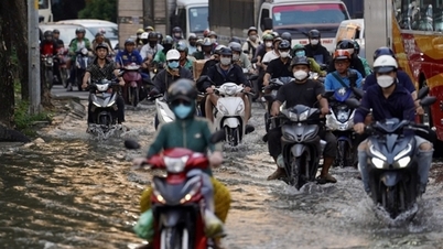 Многие дороги были сильно затоплены во время пикового прилива в середине 10-го лунного месяца.