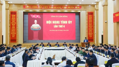 לאם דונג הקים 12 מחלקות כדי לסייע לצוותי הניטור המקומיים.