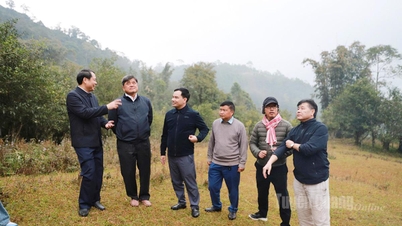 Timbalan Menteri Pertanian dan Alam Sekitar Tran Thanh Nam bekerja di komune Ho Thau