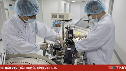 Institucionální průlom, zdroj rozvoje