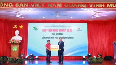 لمدة 11 عامًا، رافقت PVCFC طلاب جامعة الزراعة والغابات في مدينة هوشي منه