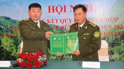 第 4 地域の森林管理官は、南中央部と中央高地の森林の緑を維持しています。