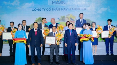 Mavin Austfeed បានផ្តល់កិត្តិយសដល់សហគ្រាសអភិវឌ្ឍន៍និរន្តរភាពកំពូលទាំង 100 នៅវៀតណាមឆ្នាំ 2025
