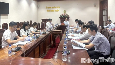 Превращение Донгтапа в передовую и образцовую провинцию в области экологического сельского хозяйства, современной сельской местности и цивилизованных фермеров.