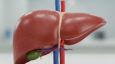 Doctor 24/7: How do you know if your liver is healthy? What tests can detect the disease?