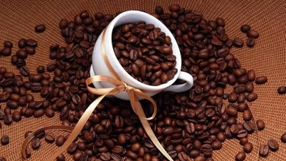 Preço do café hoje, 7 de dezembro de 2025: Encerrando a semana sem alterações.