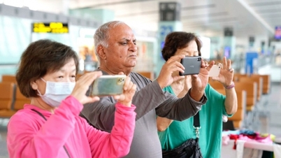 ভিয়েতনাম পর্যটন ২০২৫: ১৯.১ মিলিয়ন আন্তর্জাতিক দর্শনার্থীর আগমনের রেকর্ড ভাঙছে