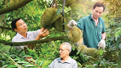 ดินแดนแห่ง “ราชา” แห่งผลไม้