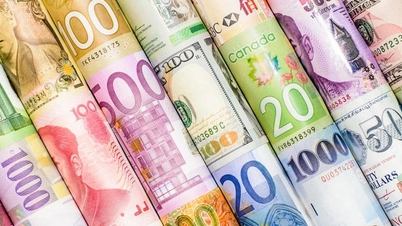 ما هي العملة الثانية الأكثر استخداما في العالم؟