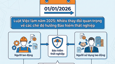 Perubahan penting dalam tunjangan asuransi pengangguran dari tahun 2026 yang perlu diperhatikan