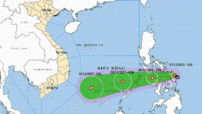 Погода 7 декабря: Тропическая депрессия проникает в Восточное море, вызывая сильные ветры и штормовое море.