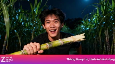 Психология, лежащая в основе тенденции «туризма по краже сахарного тростника» в Китае