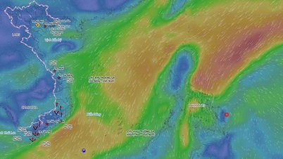 新たな熱帯低気圧が東海に進入か、今後24時間の進路予想
