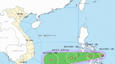 La depresión tropical está a punto de entrar en el Mar del Este