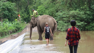 Cuidador de elefantes en el bosque de Yok Don