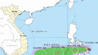 مشرقی سمندر کے قریب اشنکٹبندیی ڈپریشن پر تازہ ترین اپ ڈیٹ