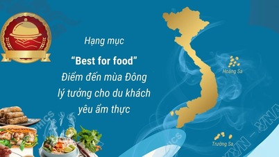 ویتنام به لطف غذاهای بی‌نظیرش، جزو ۲۰ مقصد ایده‌آل زمستانی در جهان است.