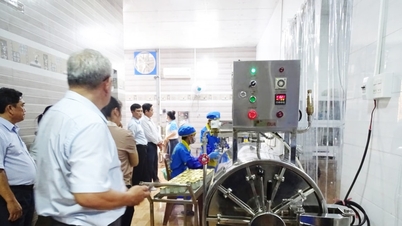 ການ​ສົ່ງ​ເສີມ​ອຸດ​ສາ​ຫະ​ກຳ​ດົງ​ທາບ ເປັນ​ກຳ​ລັງ​ຊຸກ​ຍູ້​ການ​ເຕີບ​ໂຕ​ຂຽວ ແລະ ພັດ​ທະ​ນາ​ຊົນ​ນະ​ບົດ