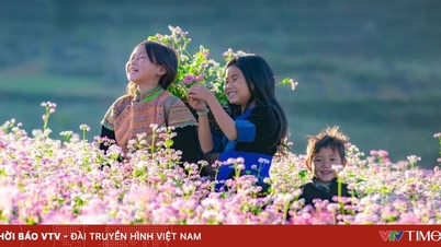 Perspektiven für die touristische Entwicklung durch Buchweizenblüten