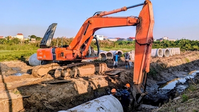 Riscos à segurança no local de trabalho devido à falta de conhecimento.