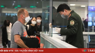 Электронная виза на 41 пограничном пункте пропуска: большой шаг к «открытым воротам» для туризма и инвестиций