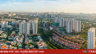 Ativos inativos: alavancagem financeira à espera de ser ativada a nível local.