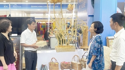 Een merk opbouwen dat voldoet aan internationale normen: