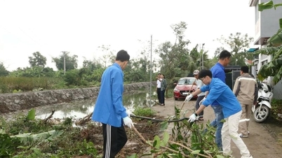 ティエンフオン区の緑の都市モデルから生まれる新たな活力