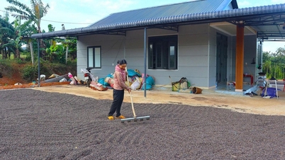 العديد من سبل العيش تقلل من الفقر في داك فوي