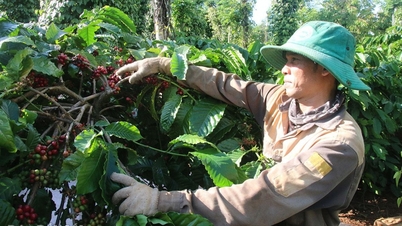 الازدهار في قرية Hra Ea Hning