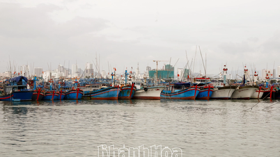 اشنکٹبندیی افسردگی پر ردعمل کے بارے میں خان ہوا صوبائی پیپلز کمیٹی کے چیئرمین کا ٹیلیگرام