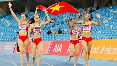 VĐV giành HCV SEA Games được thưởng nóng bao nhiêu? Hé lộ bộ môn thưởng cao nhất