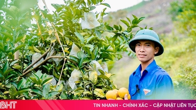 Xã miền núi Hà Tĩnh có 531 mô hình kinh tế thu nhập trên 100 triệu đồng
