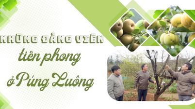 Μέλη του Πρωτοποριακού Κόμματος στο Πουνγκ Λουόνγκ