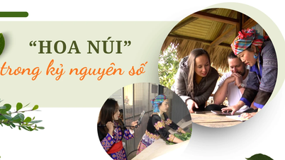 « Fleurs de montagne » à l’ère numérique