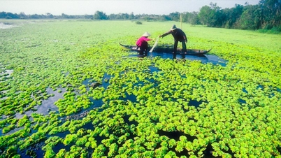 L'attrait du delta du Mékong